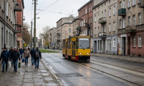 Mieszkańcy zdecydują o lokalizacji 100 nowych drzew na Widzewie