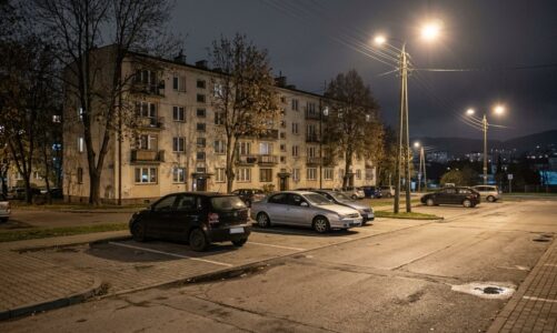 Interwencja służb w związku z pożarem samochodu elektrycznego w Bielsku-Białej