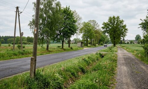 Interwencja funkcjonariusza z Moniek: nietrzeźwy kierowca w rowie