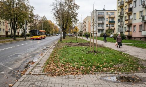 Nowy skwer powstanie na Stabłowicach. Wrocławskie Inwestycje wybrały wykonawcę