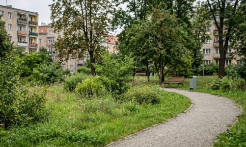 Wrocław: Petycja w sprawie ochrony bioróżnorodności poprzez zmiany w utrzymaniu zieleni