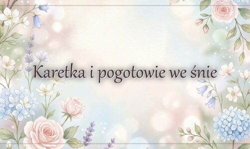 Karetka i pogotowie we śnie