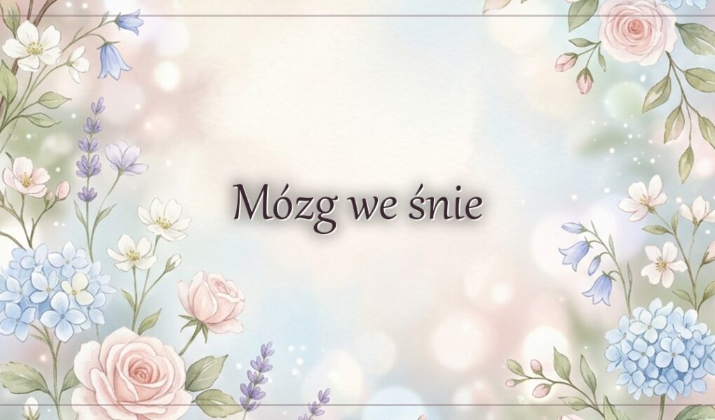 Mózg we śnie