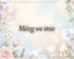 Mózg we śnie